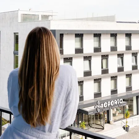 Oporto Airport & Business
